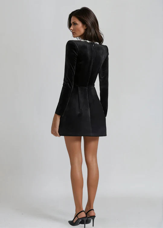 Elegant Velvet Dress